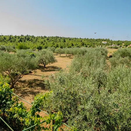 Lancun Apartment Pridraga