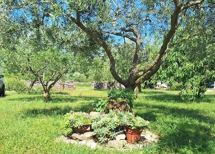 Апартаменты Lancun *