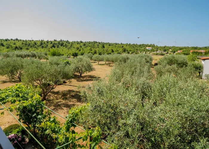 Lancun Апартаменты Pridraga